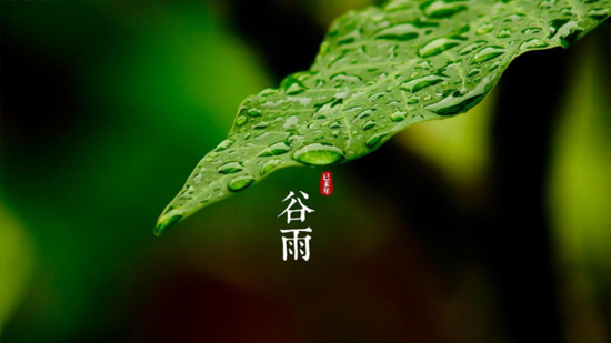 谷雨|喝一杯純凈好水，沐一場(chǎng)人間春色